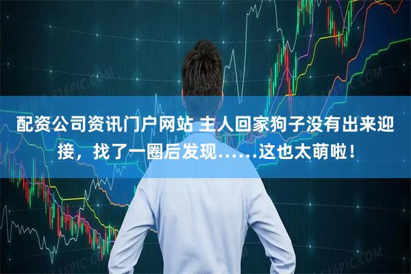 配资公司资讯门户网站 主人回家狗子没有出来迎接，找了一圈后发现……这也太萌啦！