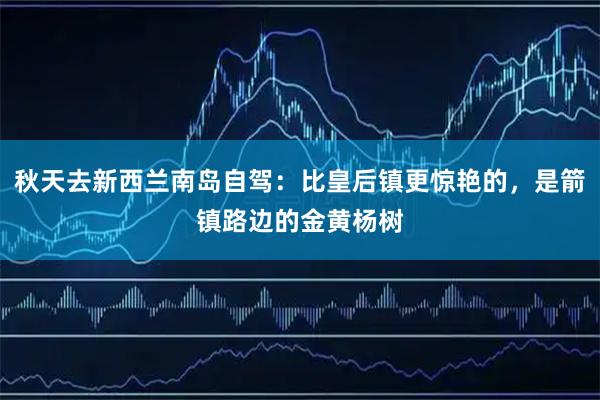 秋天去新西兰南岛自驾：比皇后镇更惊艳的，是箭镇路边的金黄杨树