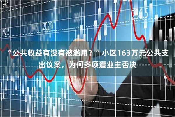 “公共收益有没有被滥用？”小区163万元公共支出议案，为何多项遭业主否决